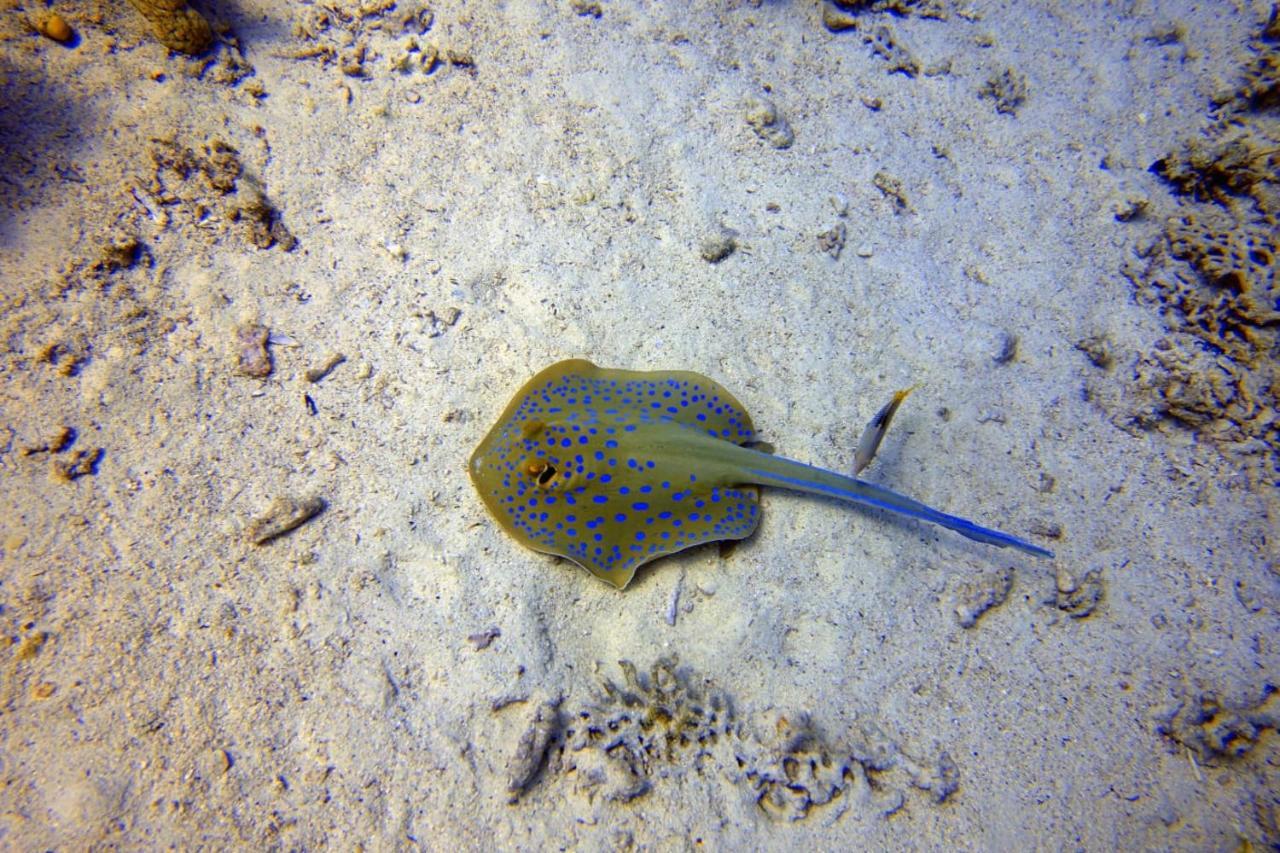 Cocolala Beach House Nungwi Eksteriør bilde