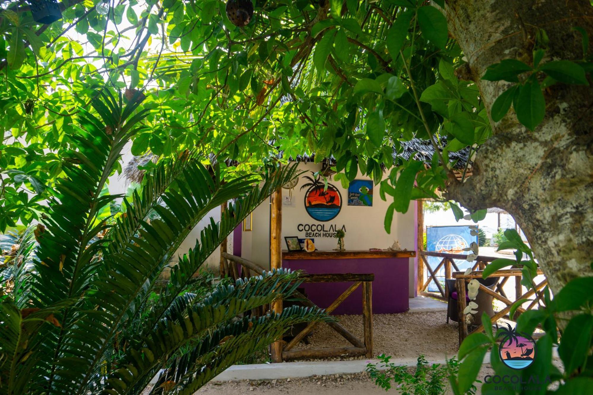 Cocolala Beach House Nungwi Eksteriør bilde